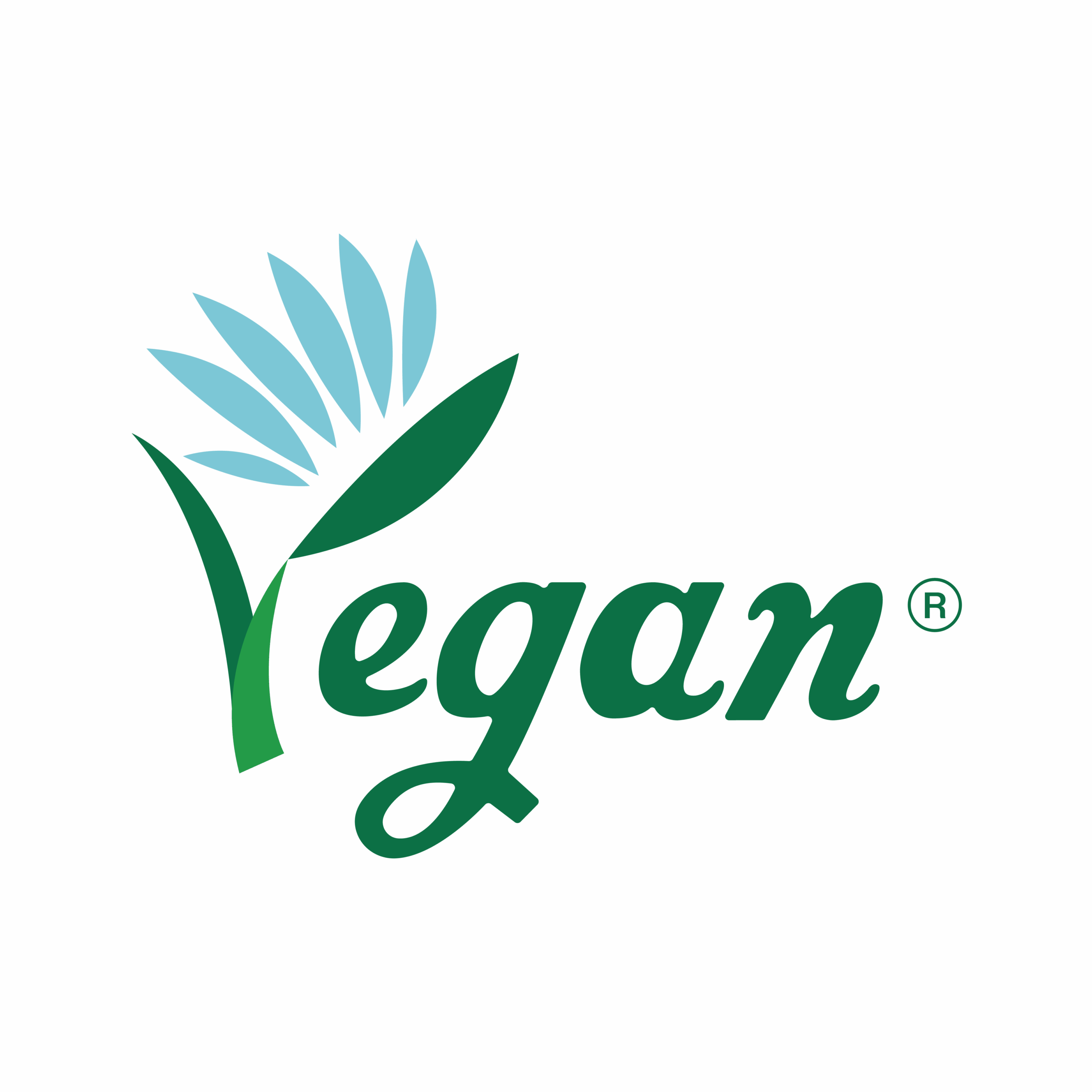 Beauugreen Vegan